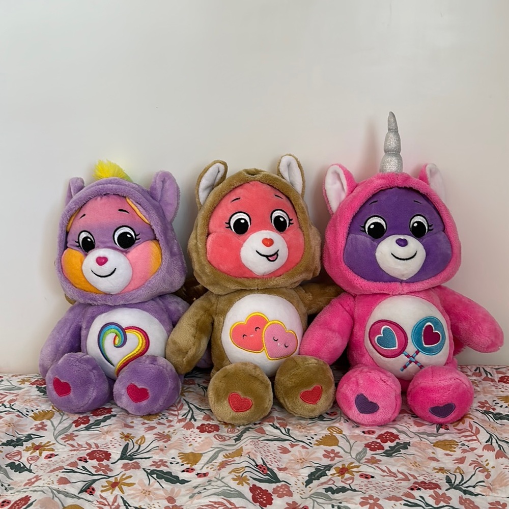 Hoodie Friends Collectors Care Bears